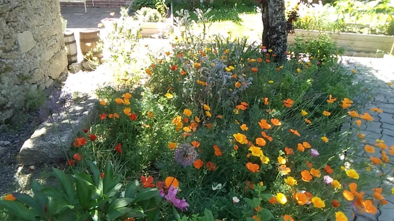 La BernardiereLes Tournesols住宿加早餐旅馆 外观 照片